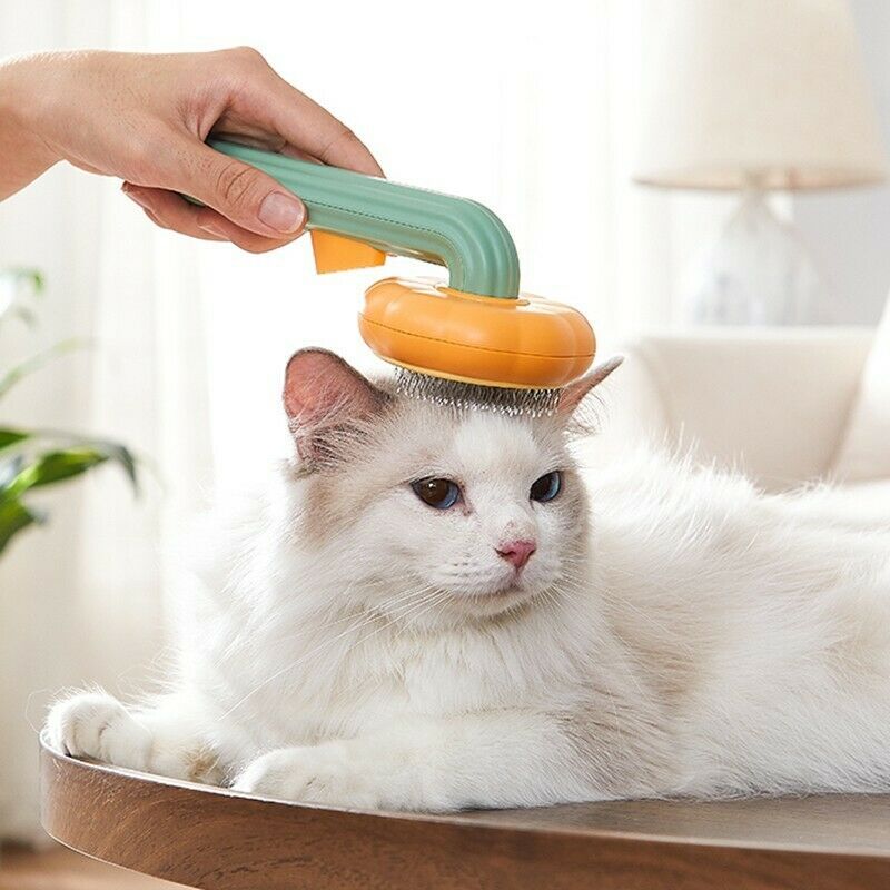 PumpkinFur Grooming Brush: Self-Cleaning for Smooth Fur Care - LouWoof