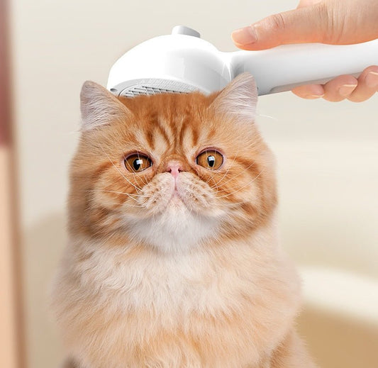 Cat being groomed with FurFresh self-cleaning pet comb, showcasing gentle brushing and misting features.